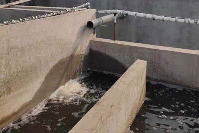 屠宰废水处理工程实例（山东烟台）