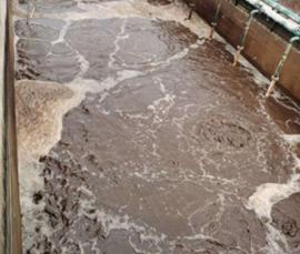 贵阳某禽蛋配送中心污水处理工程