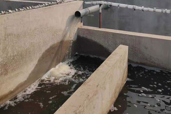 废水处理设备 废水处理设备