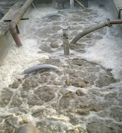 西安下店玉米开发实业有限公司