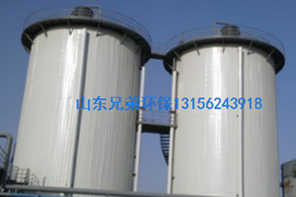 IC厌氧反应器 IC厌氧反应器